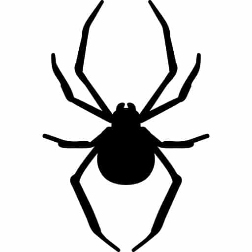 spider icon 1