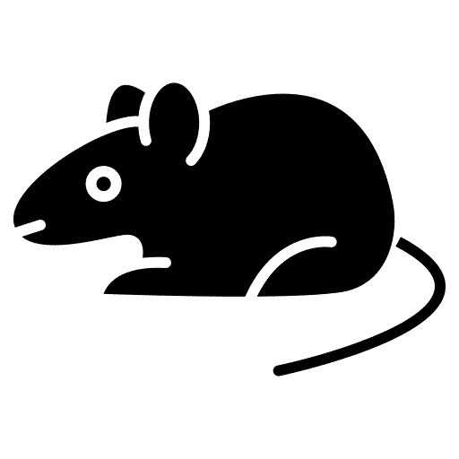 Rat and mice control